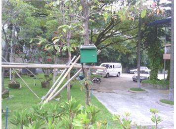 白云区苗圃绿色灌溉工程
