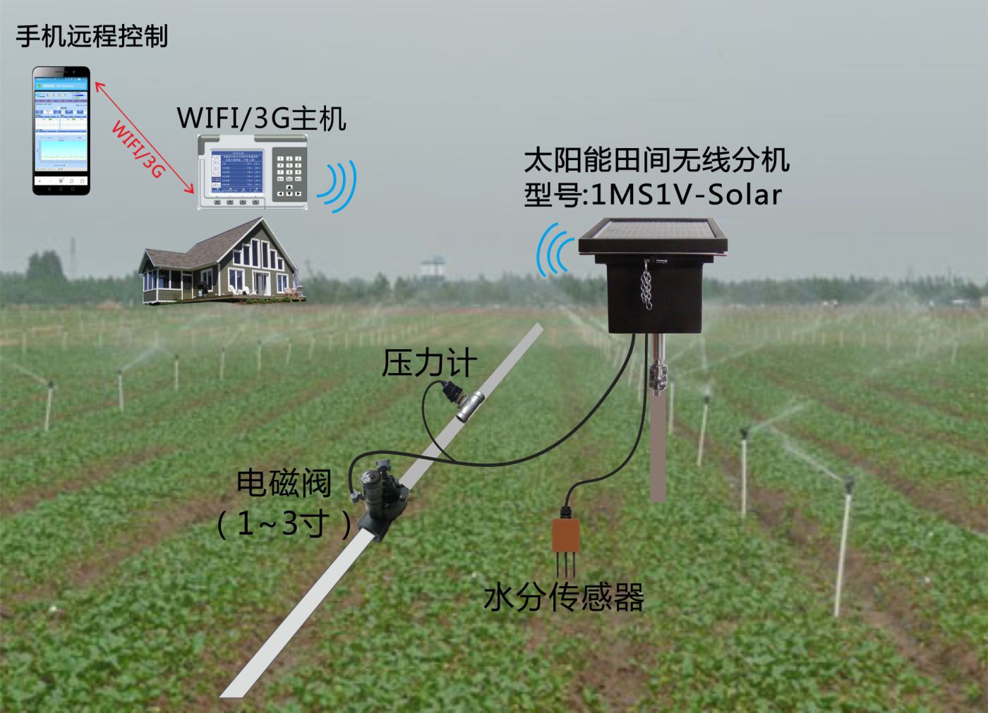 1ms1v-solar应用案例2.jpg